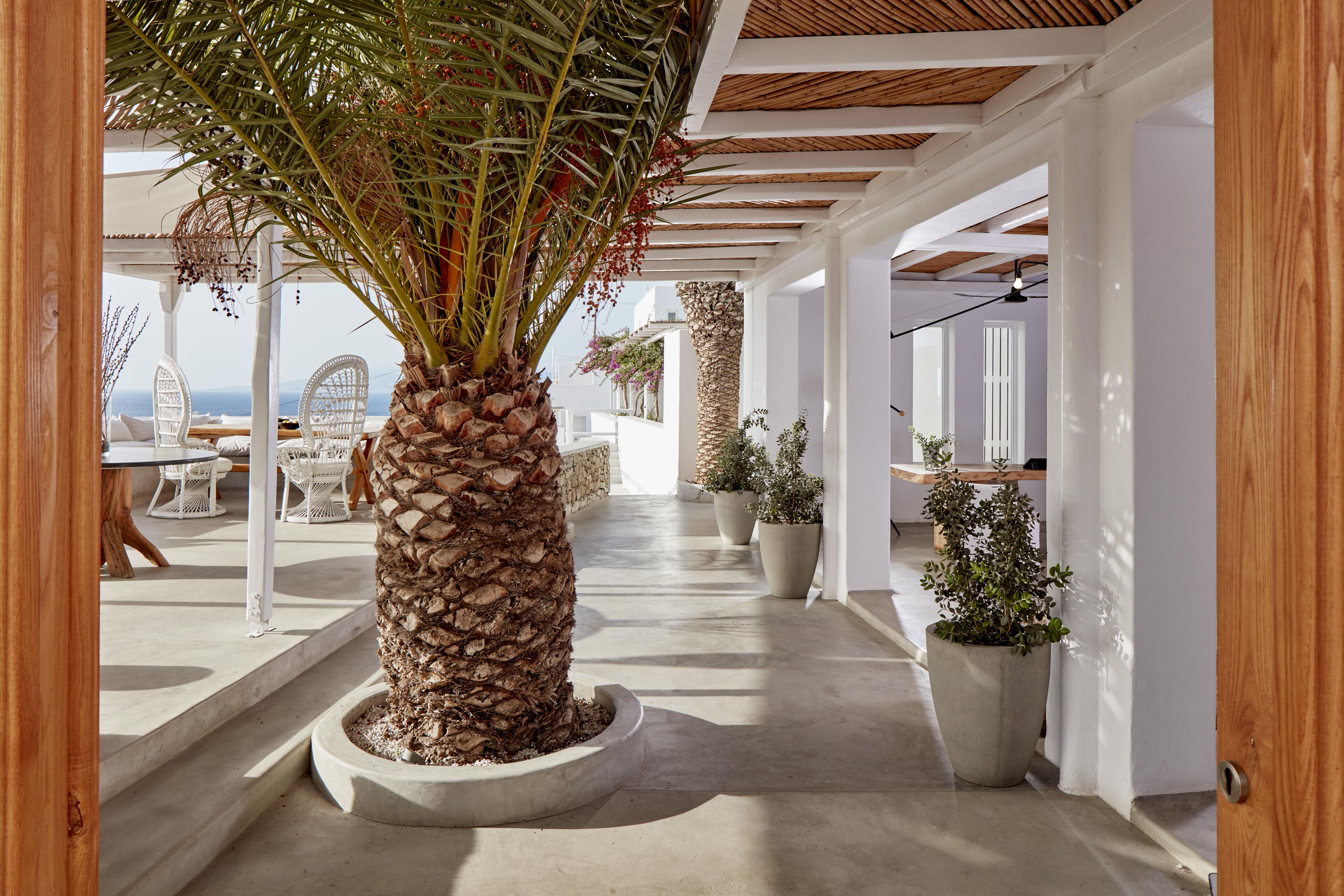 米科诺斯波西米亚酒店-限成人 Mykonos Town 外观 照片